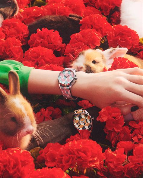 year of the rabbit gucci|gucci the rabbit.